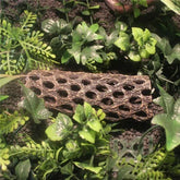 NomoyPet Resin Hide and Climbing Platform Decor